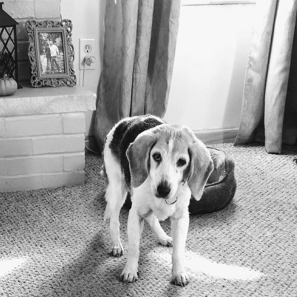 Meet your Posher, Roxene - Picture 1 of 1